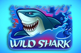 Wild Shark — rekin-wild pływa po bębnach i tworzy re-spiny